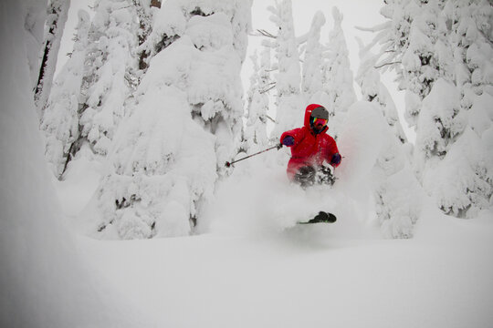 A skier bursts through some powder snow amidst the trees.
