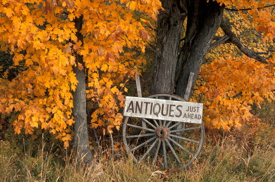 Antiques just ahead sign near Carroll, Fall Colors, Indian Summer, Maine, USA