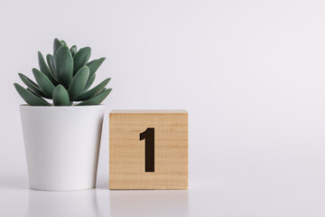 Number  1 on wooden pine block on white background next to a succulent plant with room for copy or...