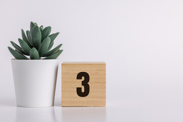 Number  3 on wooden pine block on white background next to a succulent plant with room for copy or...