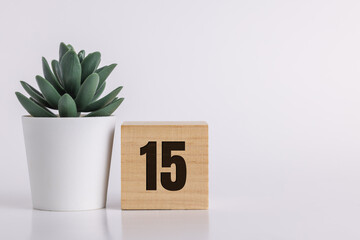 Number  15 on wooden pine block on white background next to a succulent plant with room for copy or print, useful for calendar and event graphics.