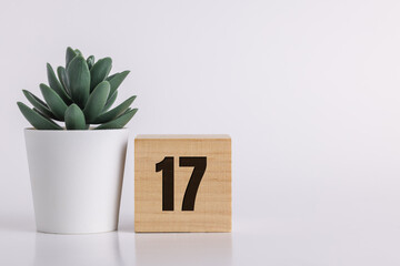 Number  17 on wooden pine block on white background next to a succulent plant with room for copy or print, useful for calendar and event graphics.