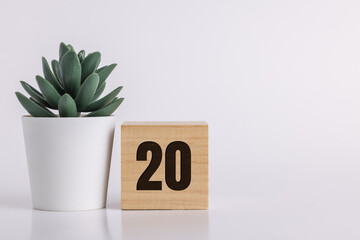 Number 20  on wooden pine block on white background next to a succulent plant with room for copy or...