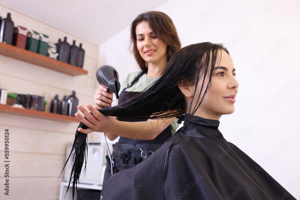 Poster Hairdresser drying woman's hair in beauty salon