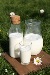 Glassware with fresh milk on green grass outdoors