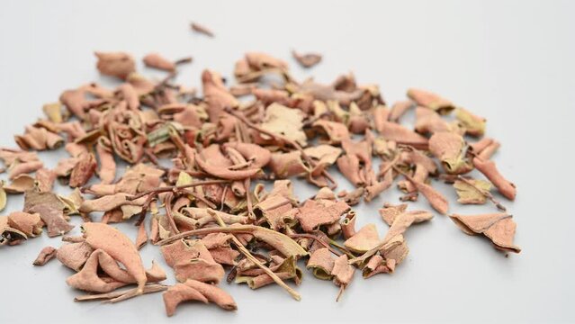 angle pan herb ShiWei or Pyrrosiae Folium or Japanese Felt Fern