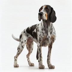 American Leopard Hound  full body image with white background ultra realistic