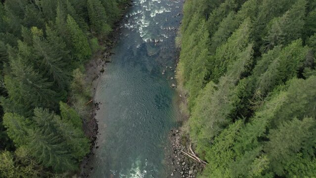 Drone Flying Over Vibrant Blue River Water Lined with Green Trees