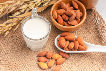 Almond milk in glass with almonds on wooden table