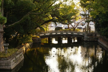 池と橋