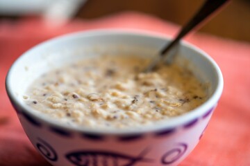porridge in a bowl for breakfast