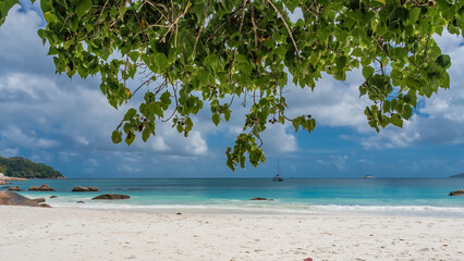 Branches of tropical trees hang over a tropical beach. Green leaves on a background of blue sky and clouds. Yachts in the turquoise ocean. Boulders in the coastal zone. Footprints in the sand.