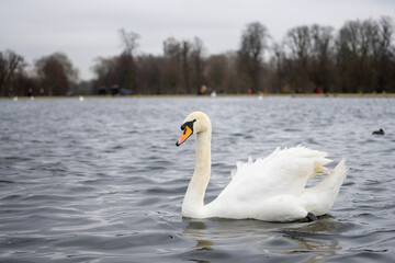 Kensington Palace and garden in Kensington Garden in London during winter cloudy day at London , United Kingdom : 12 March 2018