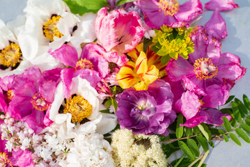 spring flowers on the silver background