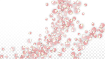 Pink Vector Realistic Petals Falling on Transparent Background.  Spring Romantic Flowers Illustration. Flying Petals. Sakura Spa Design. Blossom Confetti. Design Elements for Wedding Decoration.