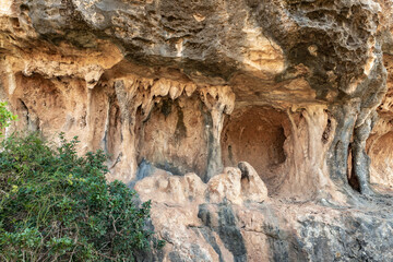 Bizarre  natural curves of rocks in the Carmel forest near Haifa city in northern Israel