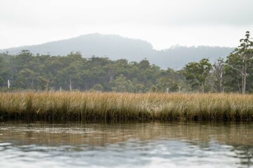 Kayaking on the river at sunset in Australia