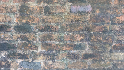 Real old and dirty brick wall covered in black dirt and mold.