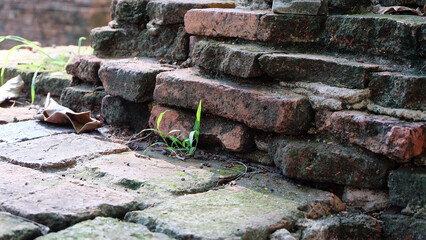 Closeup of the remains of an old brick wall, with weathered bricks, and tiny grass growing out from in between the bricks.