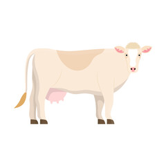 Cow breed vector illustration. Drawing of Jersey, Holstein or Frisian cows, meat, milk or dairy production. Agriculture, farming, cattle breeding, domestic animals concept