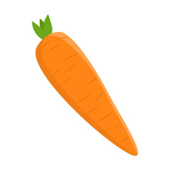 Cartoon drawing of white orange carrot with vitamin A isolated on white background. Colorful vegetable vector illustration. Organic food, health concept