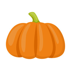 Cartoon drawing of ripe orange pumpkin isolated on white background. Autumn, vegetable vector illustration. Nature, autumn or fall concept