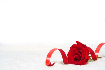 Valentine's day date 14 february. Background with red roses bouquet on white background. Greeting card template for Valentines Day. Copy space for text. - Powered by Adobe