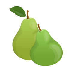 Two green pears vector illustration. Whole juicy garden fruit with leaf isolated on white. Fruit, dessert, food concept