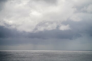 native coastal plants in tasmania australia