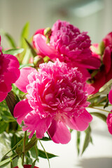 nice peonies in the vase