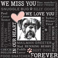 Dog memorial image with words that describe the passed away or expired dog. Pet themed modern square word cloud design with illustrated boxer dog in middle. Funny memories of the best dog. Vector.