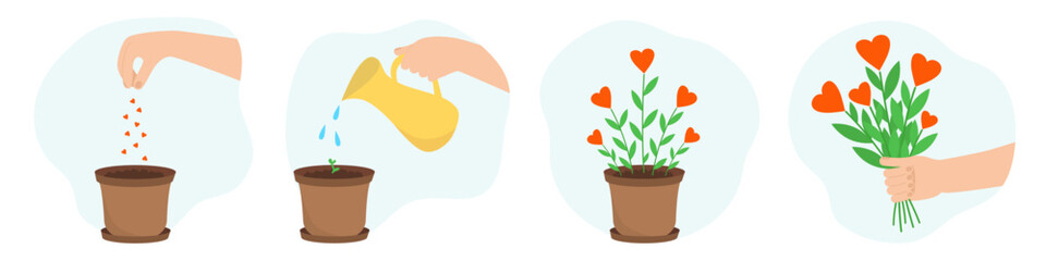 Growing flowers. Seeding, watering, young sprout, bouquet with hearts. Vector illustration. Design for Valentines day or environmental protection. Concept of kind and love.