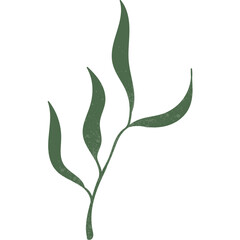 Hand drawn flat leaf