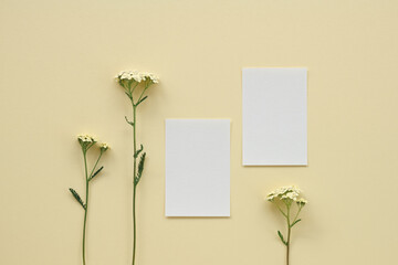 Blank paper sheet cards and yarrow flowers on neutral beige background. Flat lay, top view mockup with empty copy space.