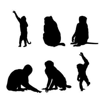 Set of silhouettes of primate monkeys vector design