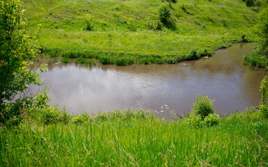 River in nature in summer.
