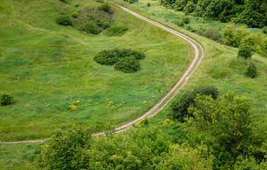 Dirt road in nature in summer