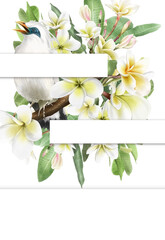 Wedding invitation with plumeria flowers illustration