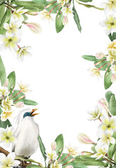 Wedding invitation with plumeria flowers illustration