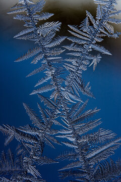 Frost on Window Glass – Winter Weather. Close-up showing intricate patterns created by the ice crystals.