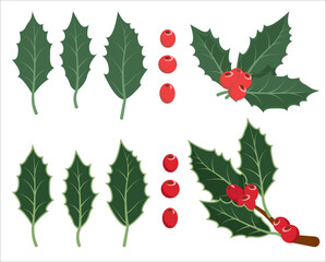 Vector illustration. Leaves and berries of holly isolated on white background. Christmas decor.