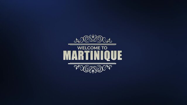 Stylized Logo Stylized Logo