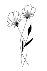 Vector illustration of flowers, vector black and white.