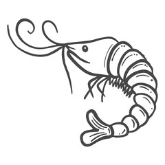 shrimp cute animal in sea hand drawn sketch doodle illustration