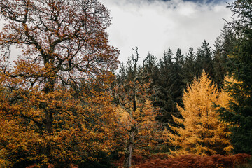 Fototapeta premium Irland Wicklow Mountains Roadtrip