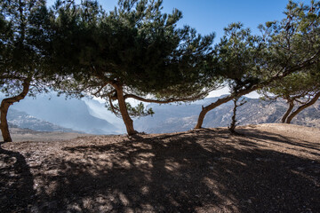 Fototapeta na wymiar delightful endless panoramic views of the nature of Jordan on a sunny day