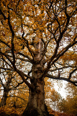 Irland Wicklow Mountains Roadtrip