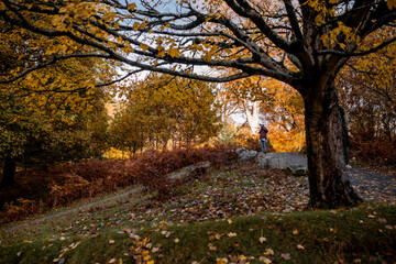 Irland Wicklow Mountains Roadtrip