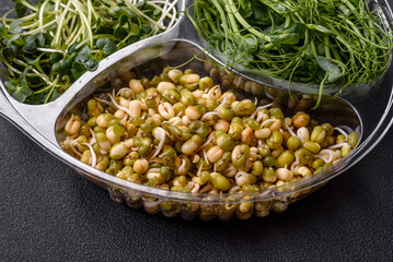 A set or mix of pea, mustard and sprouted mung bean microgreens in a portioned plastic box