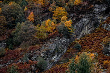 Irland Wicklow Mountains Roadtrip